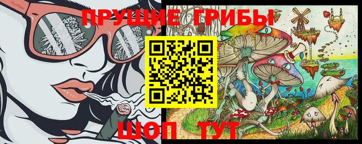 Коркино  как найти наркотики  Вход с VPN  Галлюциногенные грибы Psilocybe 